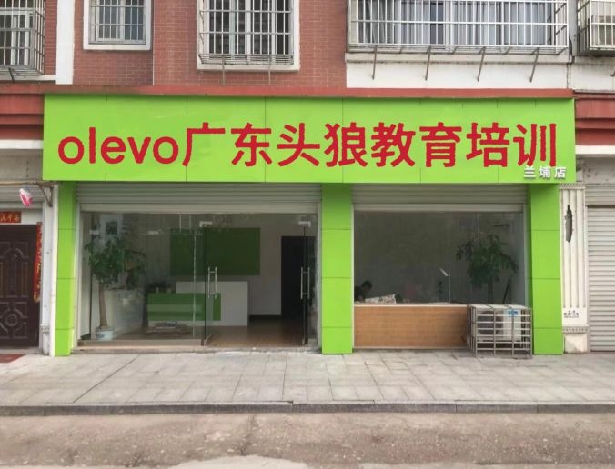 olevo广东头狼教育培训