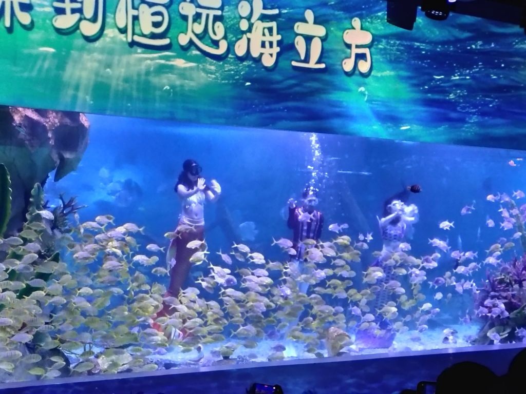 恒远海立方海洋馆(兴中广场C座店)