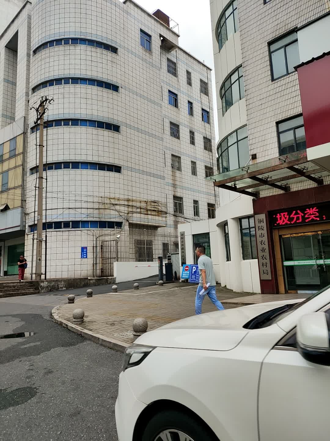 铜陵市农业农村局