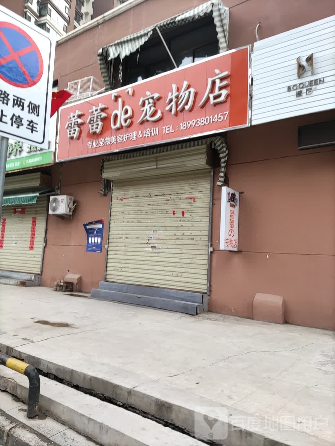 蕾蕾的宠物店