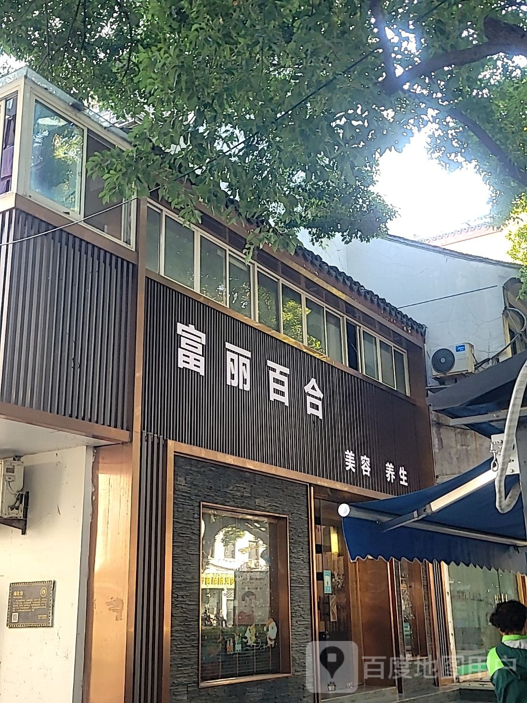 富丽百合