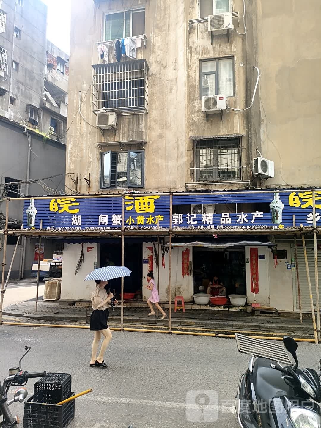 日湖大宅蟹