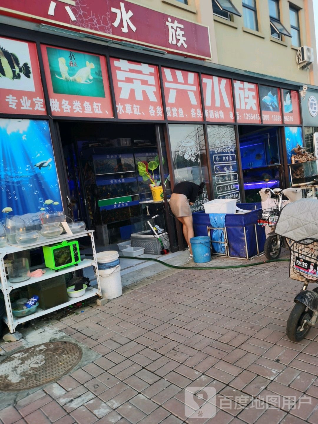 荣兴水族