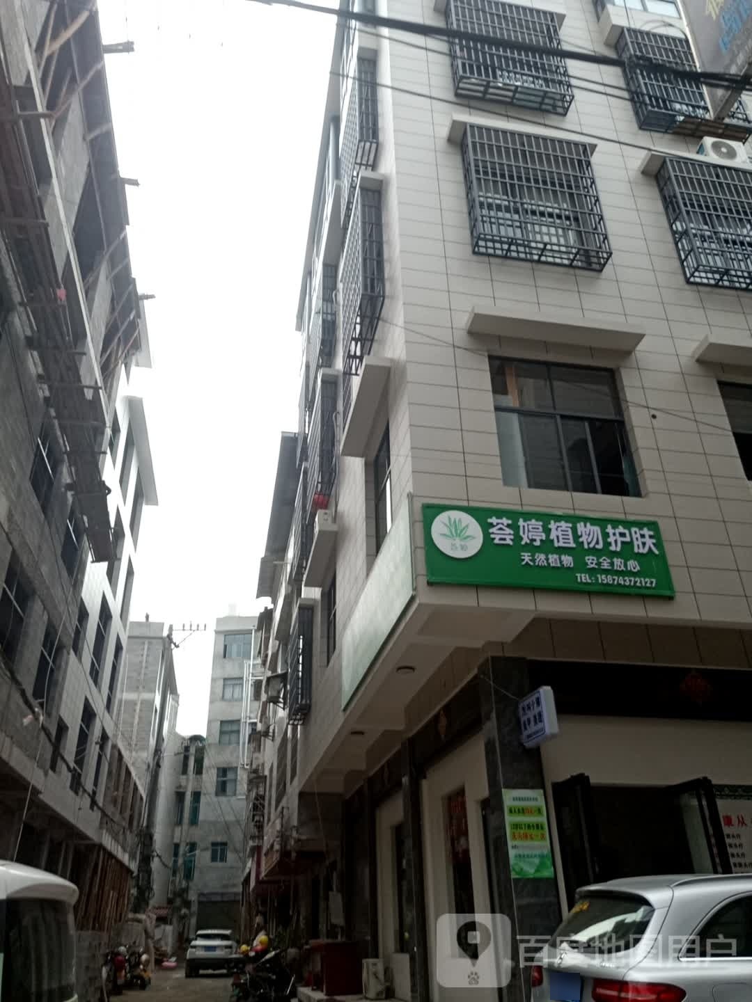 荟婷植物护理