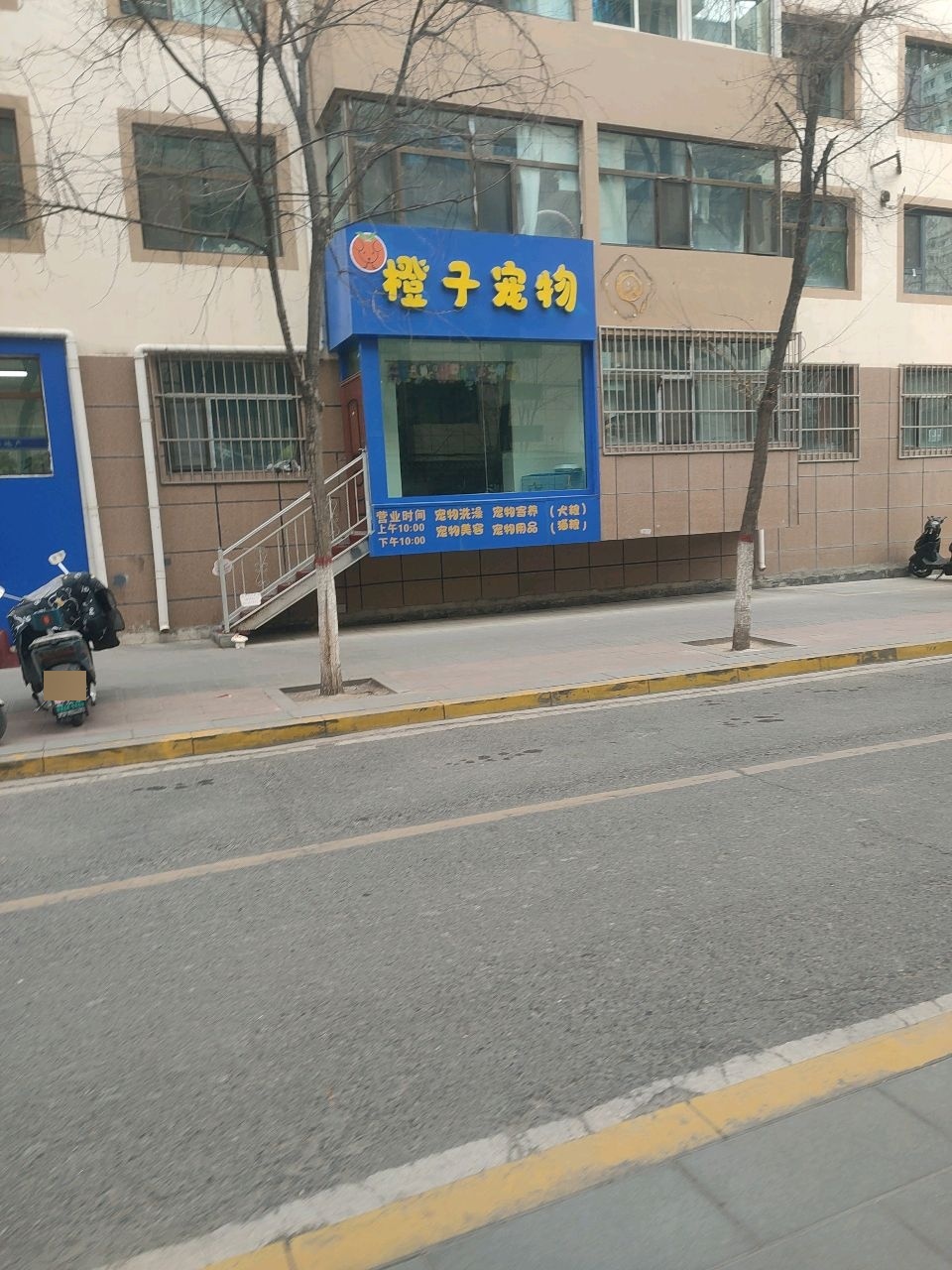 橙子宠物
