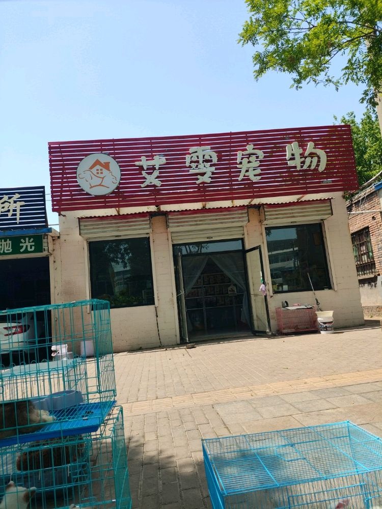 艾雯宠物