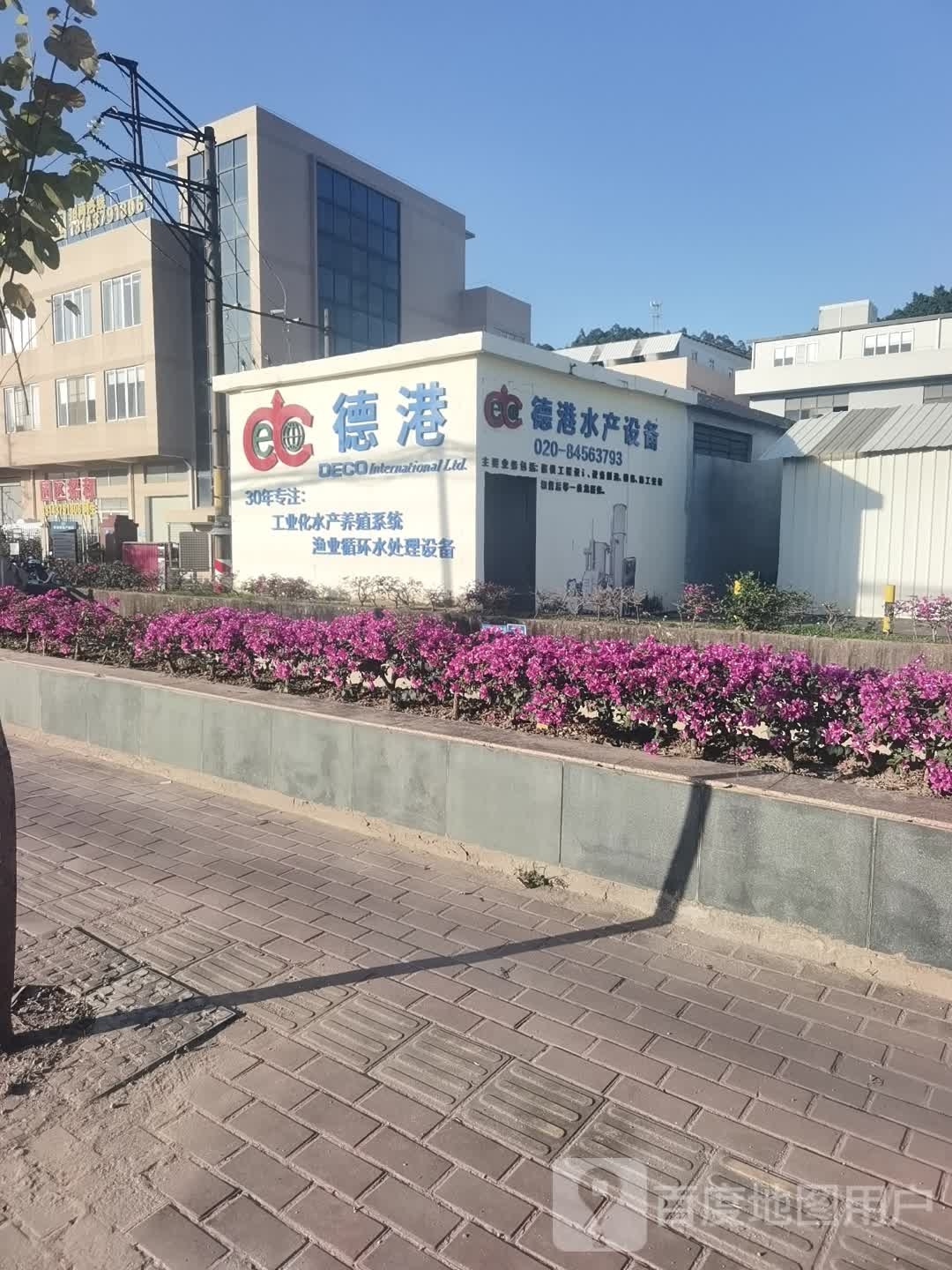德港