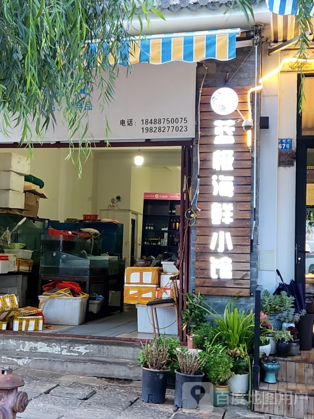 蓝极海鲜批发