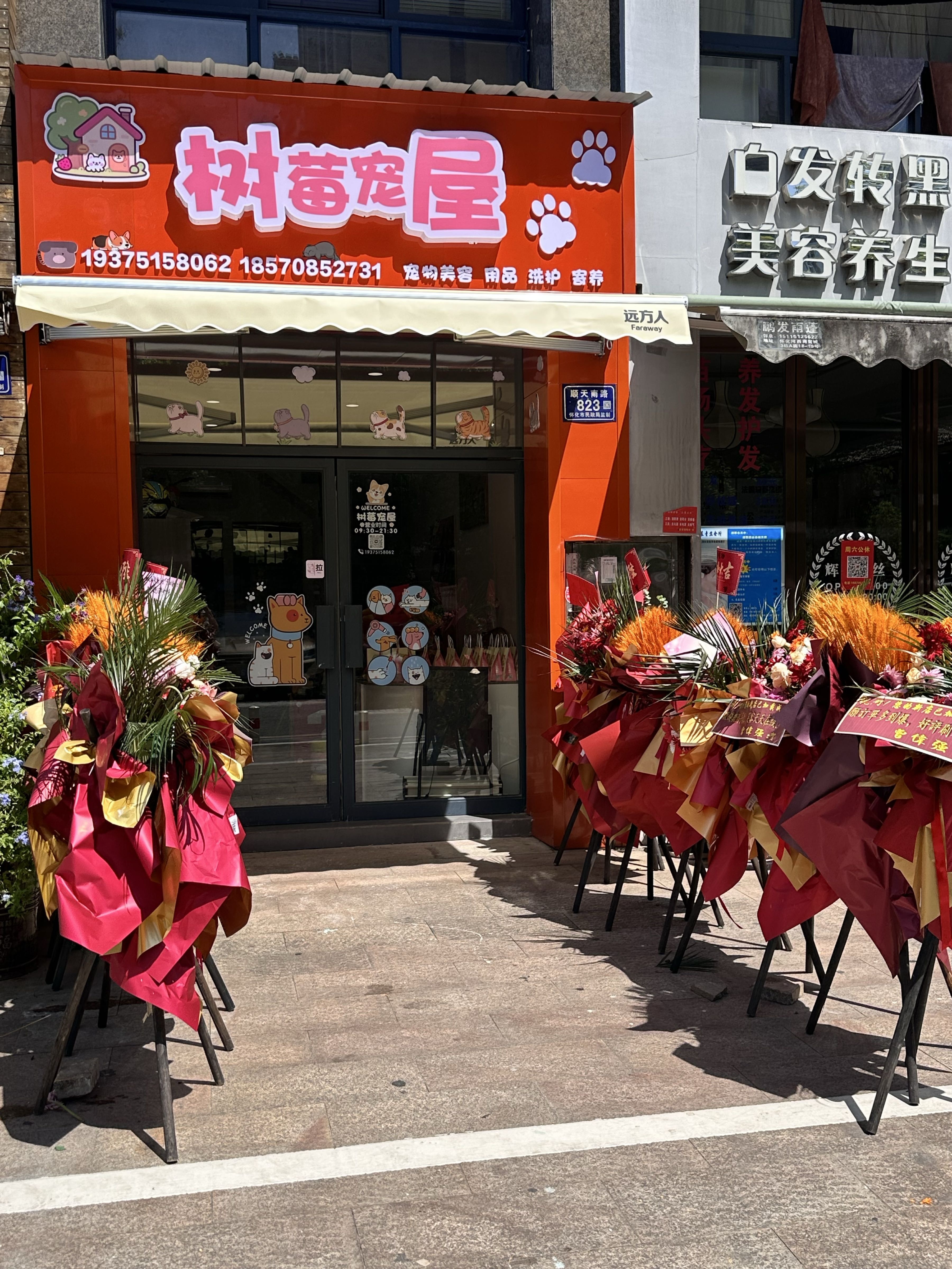 树莓宠屋