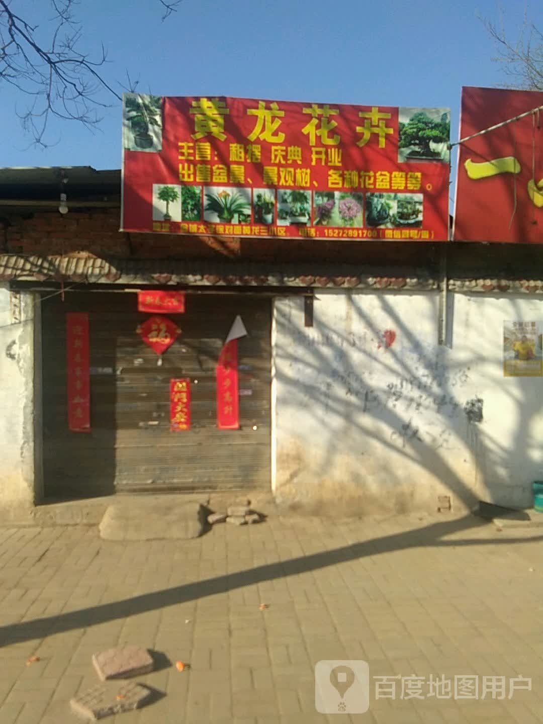 黄龙花卉