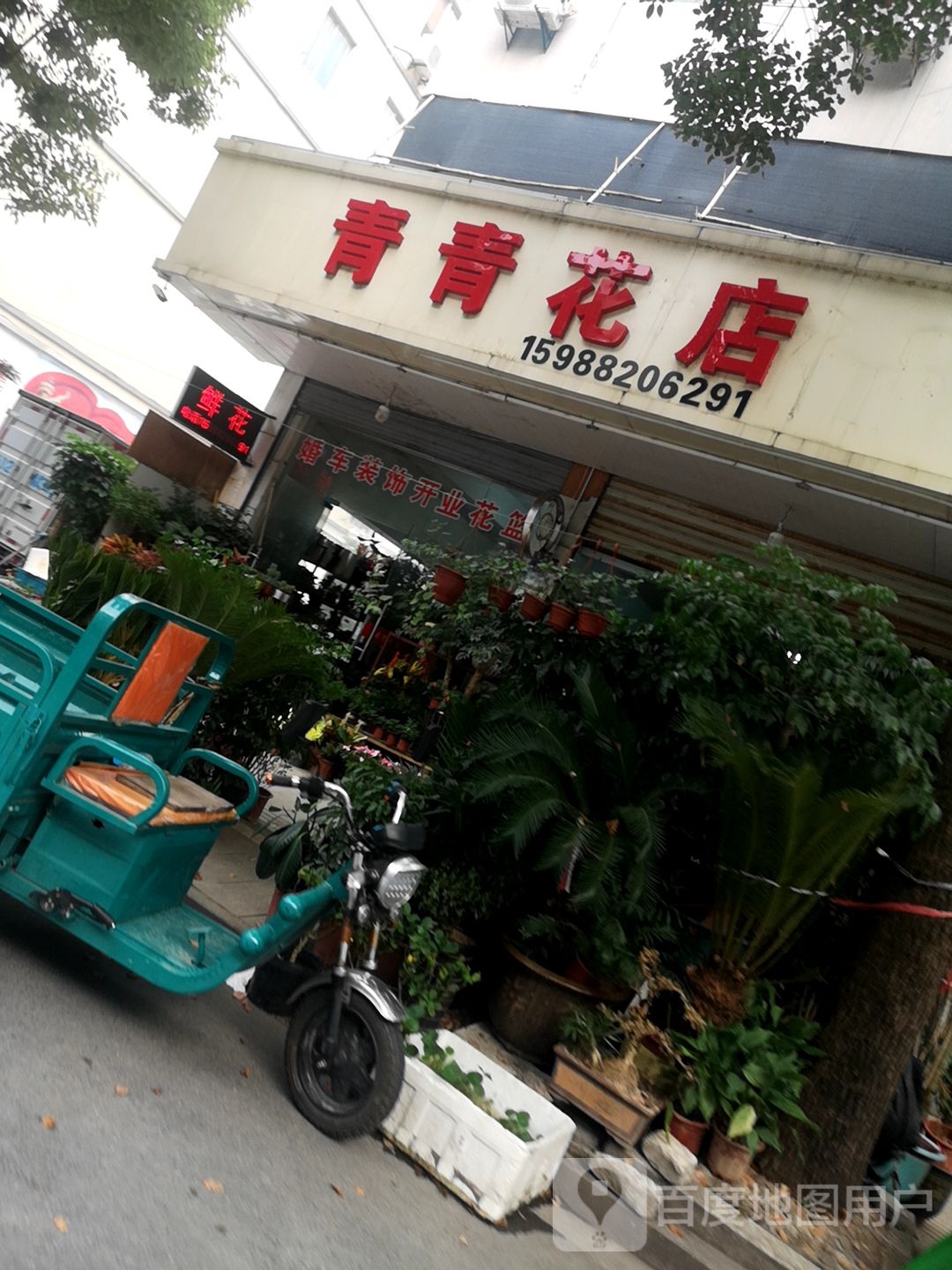 青青花店(安华店)