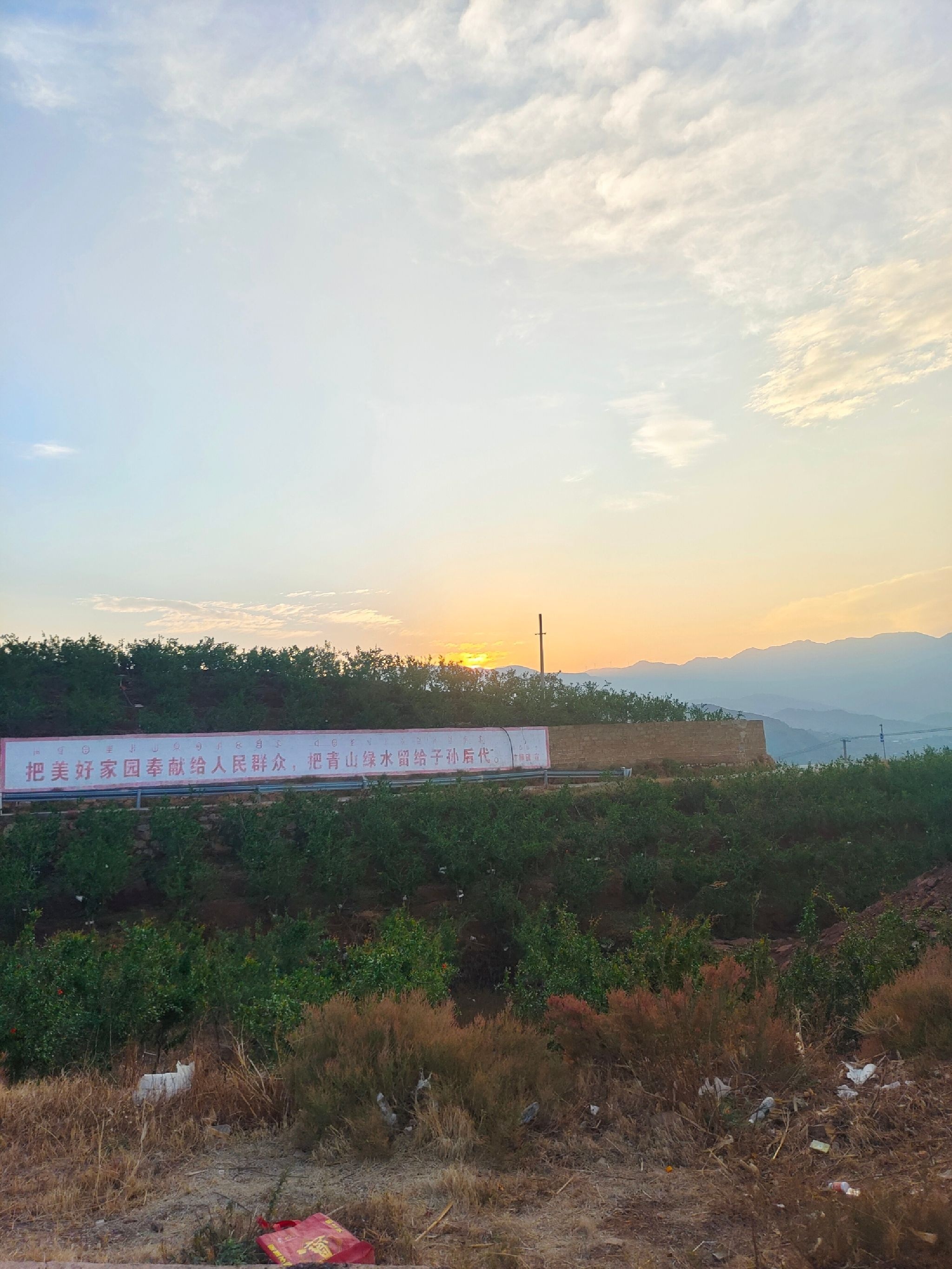 冕宁后山镇樱桃园