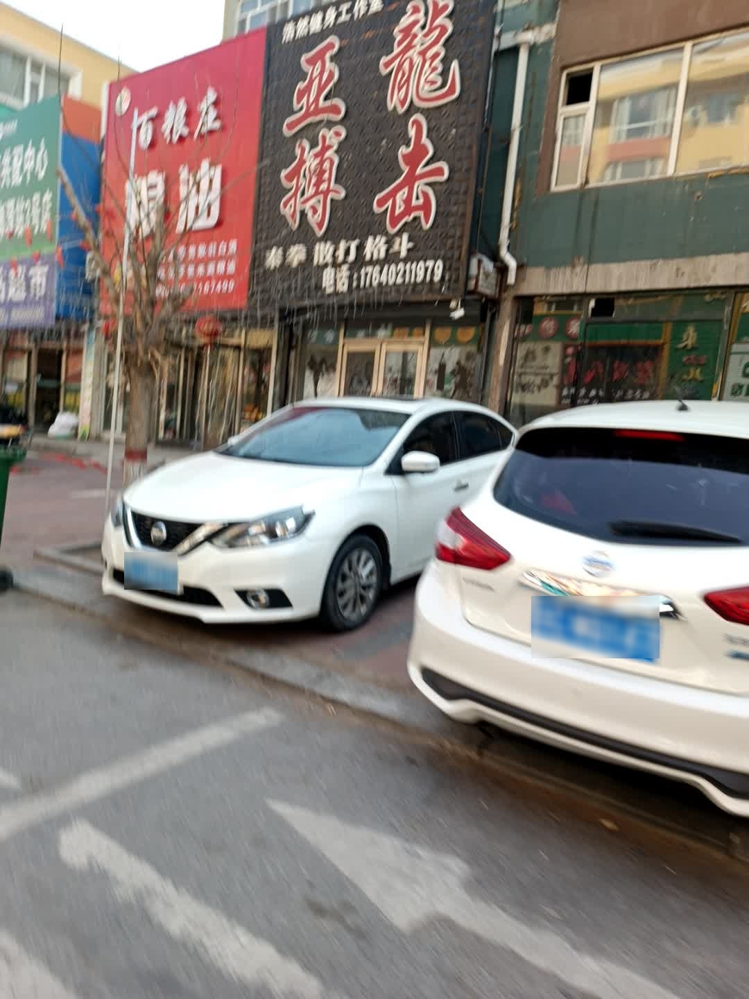 五龙搏击