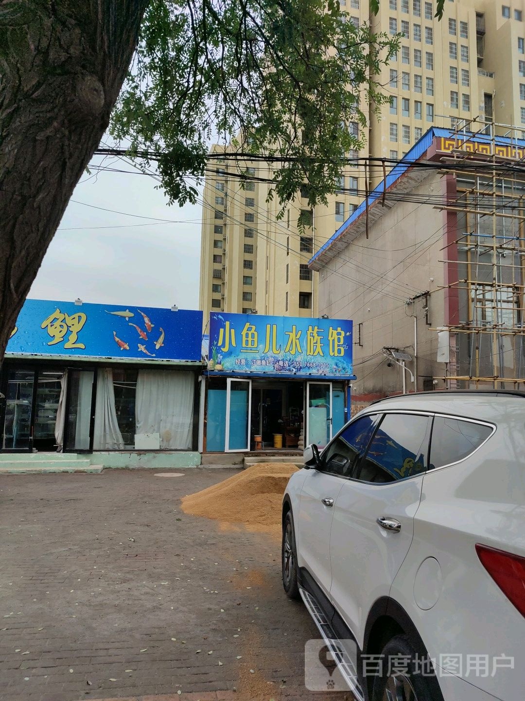 小鱼儿水族