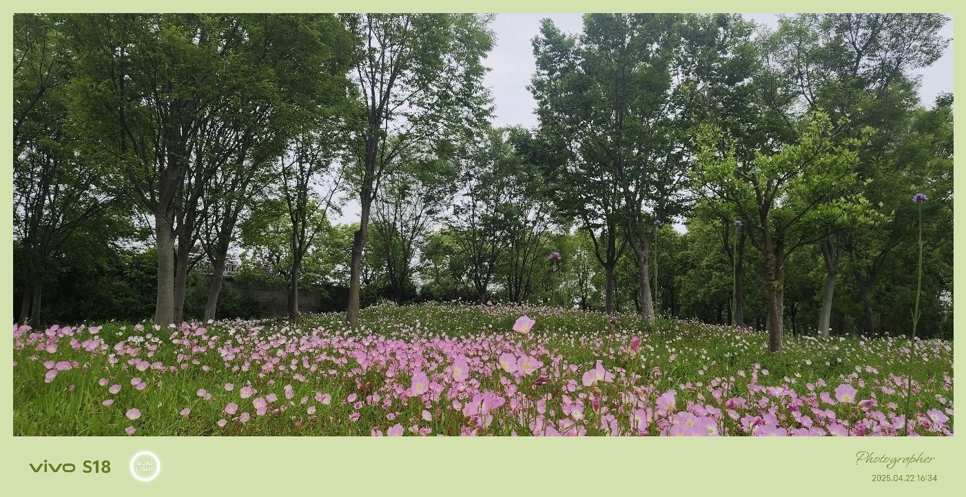 欧缇蔓国际月子会所(湖心路店)
