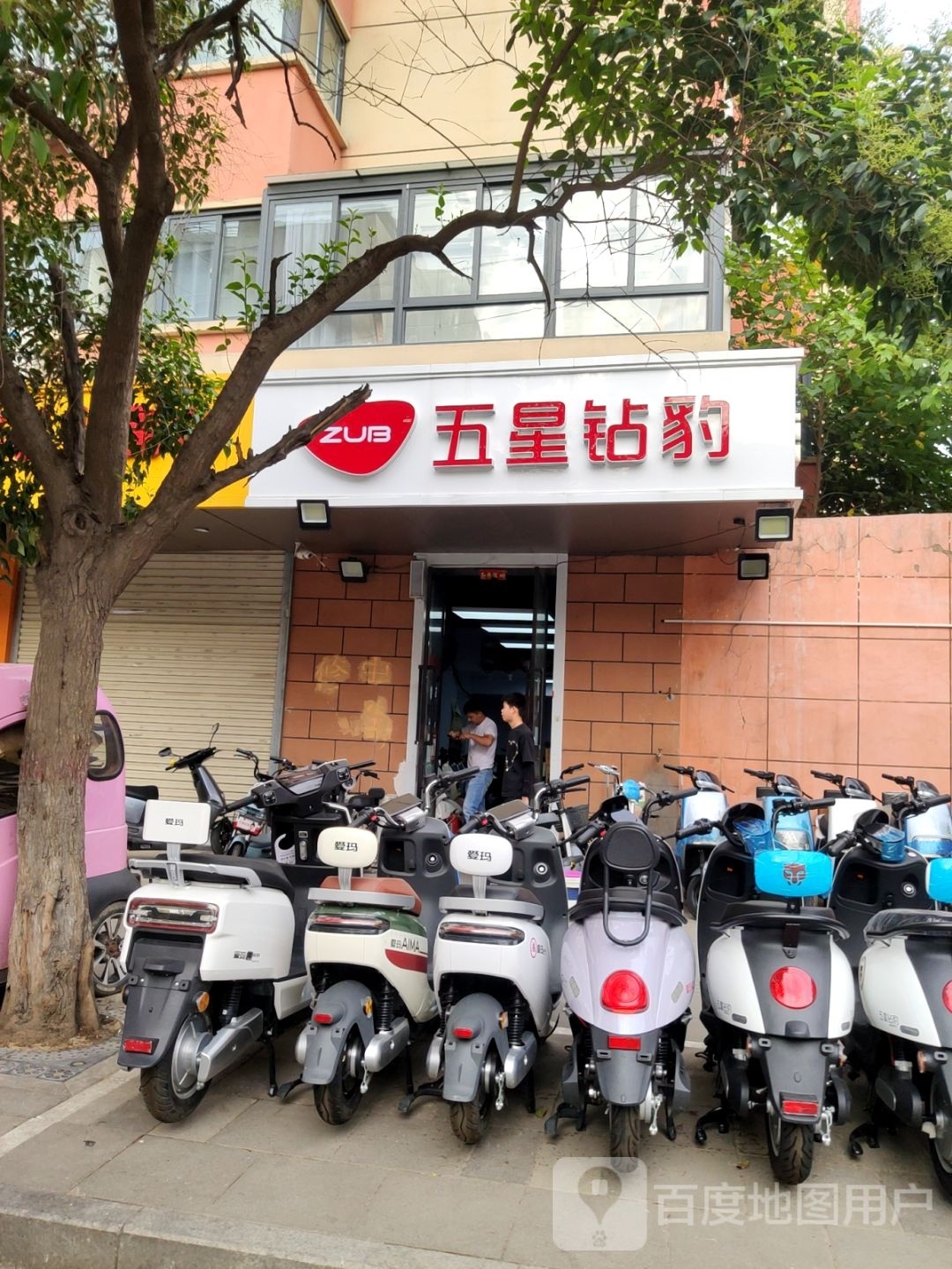 五星钻豹(淮南街店)