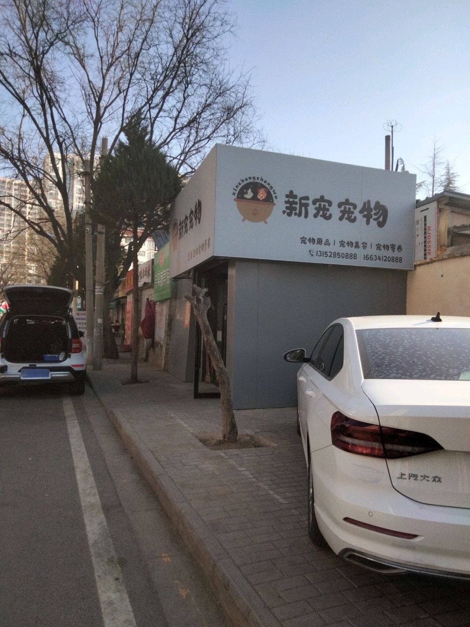新宠宠物