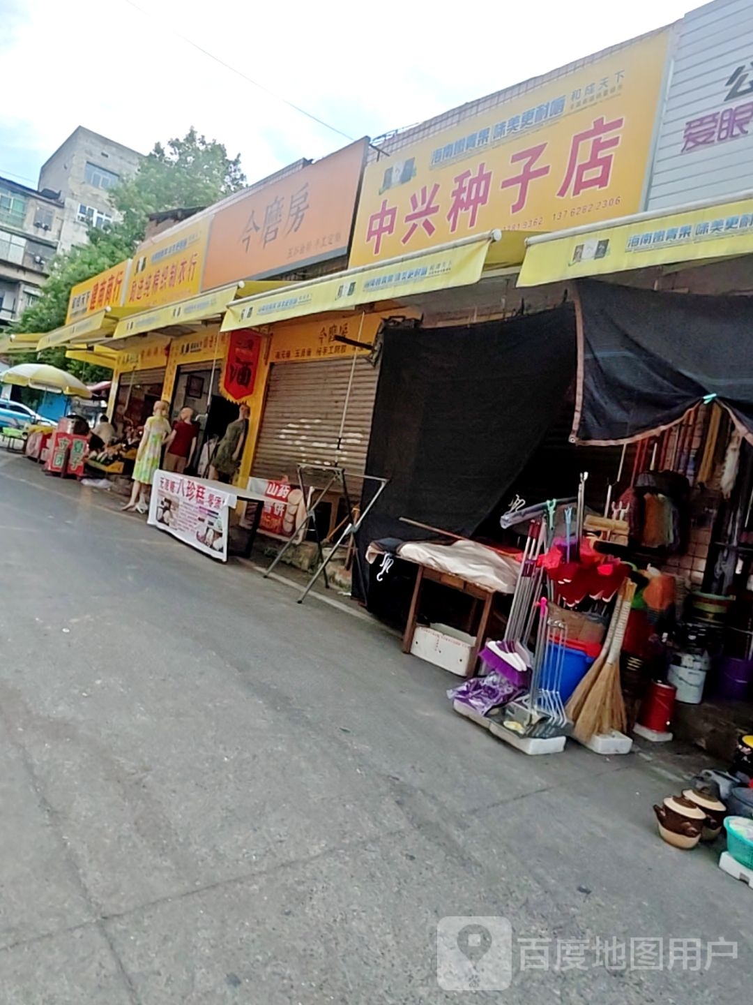 中兴种子店
