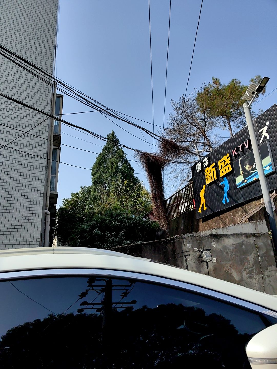 新盛旱冰场(技术学院店)