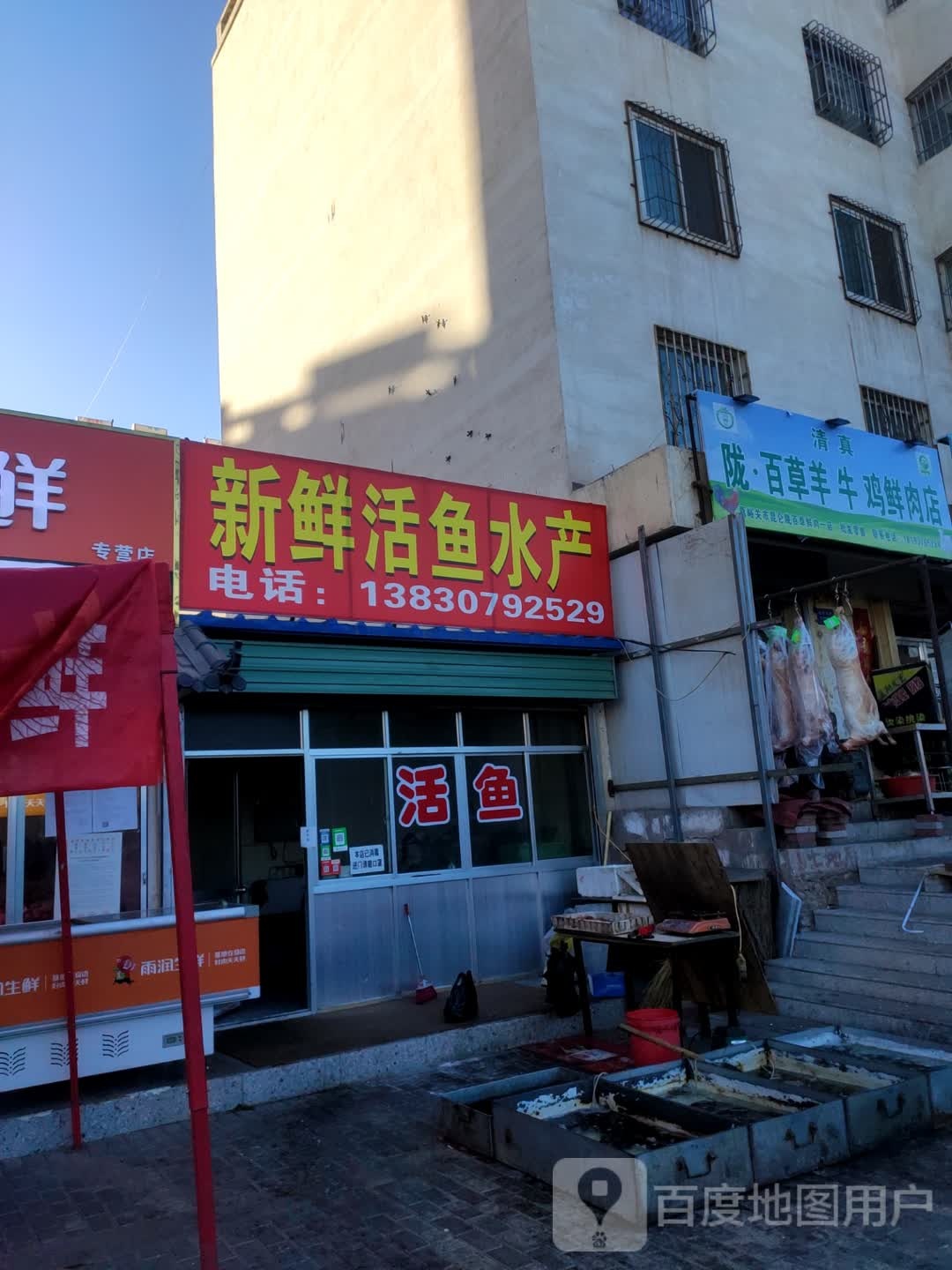新鲜活鱼水产
