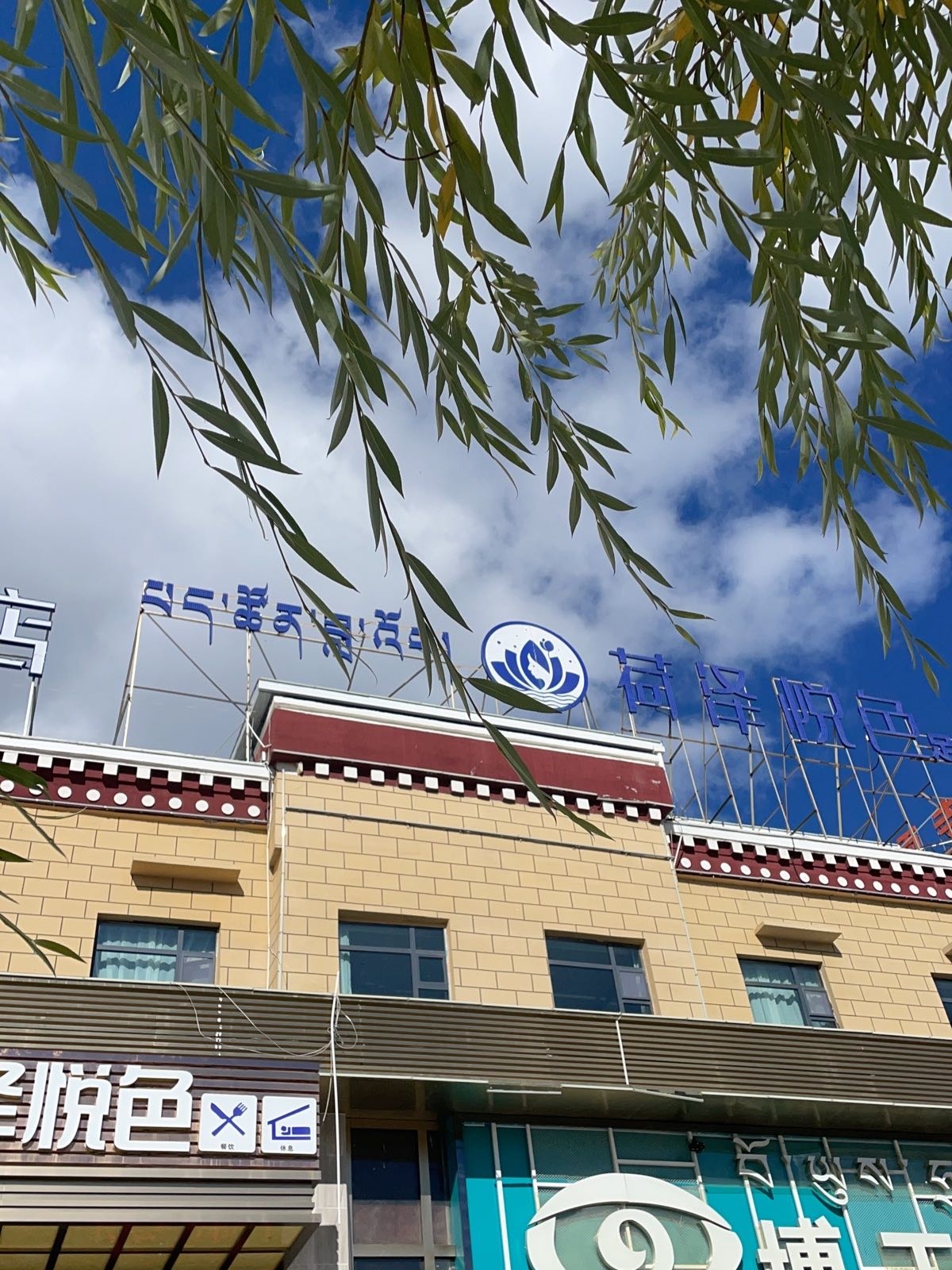荷泽悦色