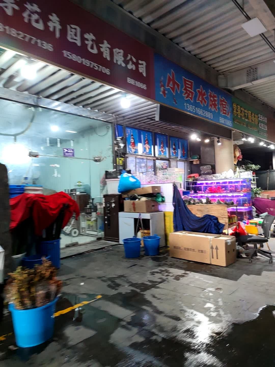 小易水族馆(上海美陈广场店)
