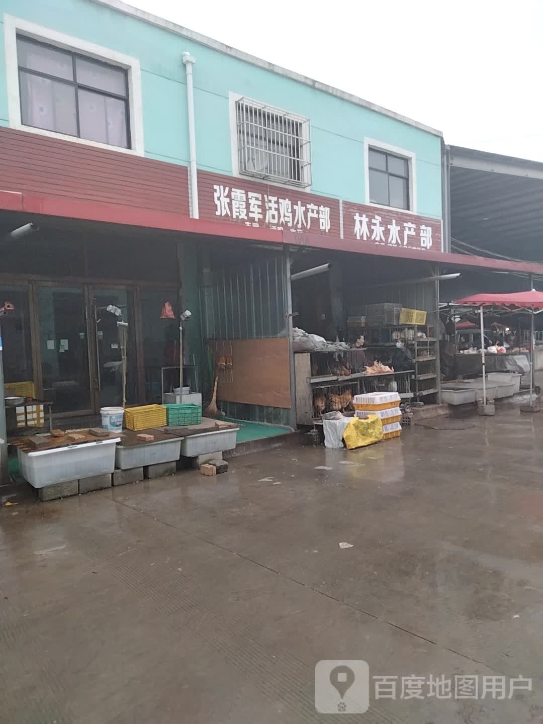 张霞军活鸡水产部
