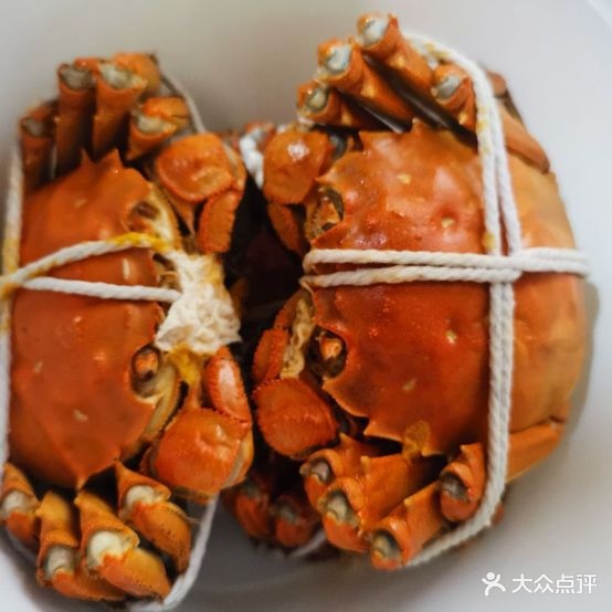 蟹动动
