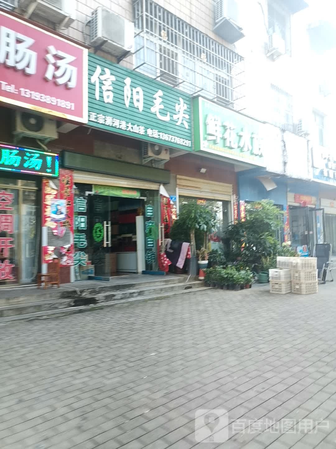 鲜花水族