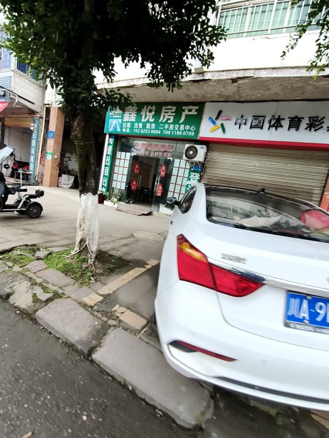 鑫悦房产