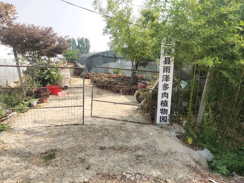 兰陵县雨泽多肉植物园