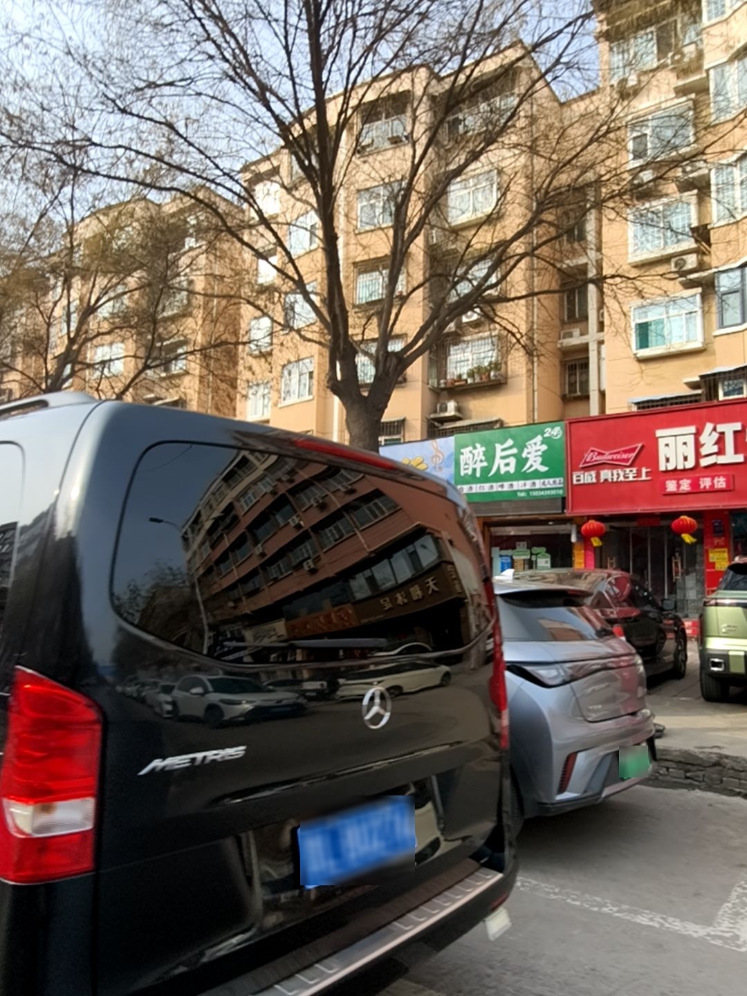 醉后爱