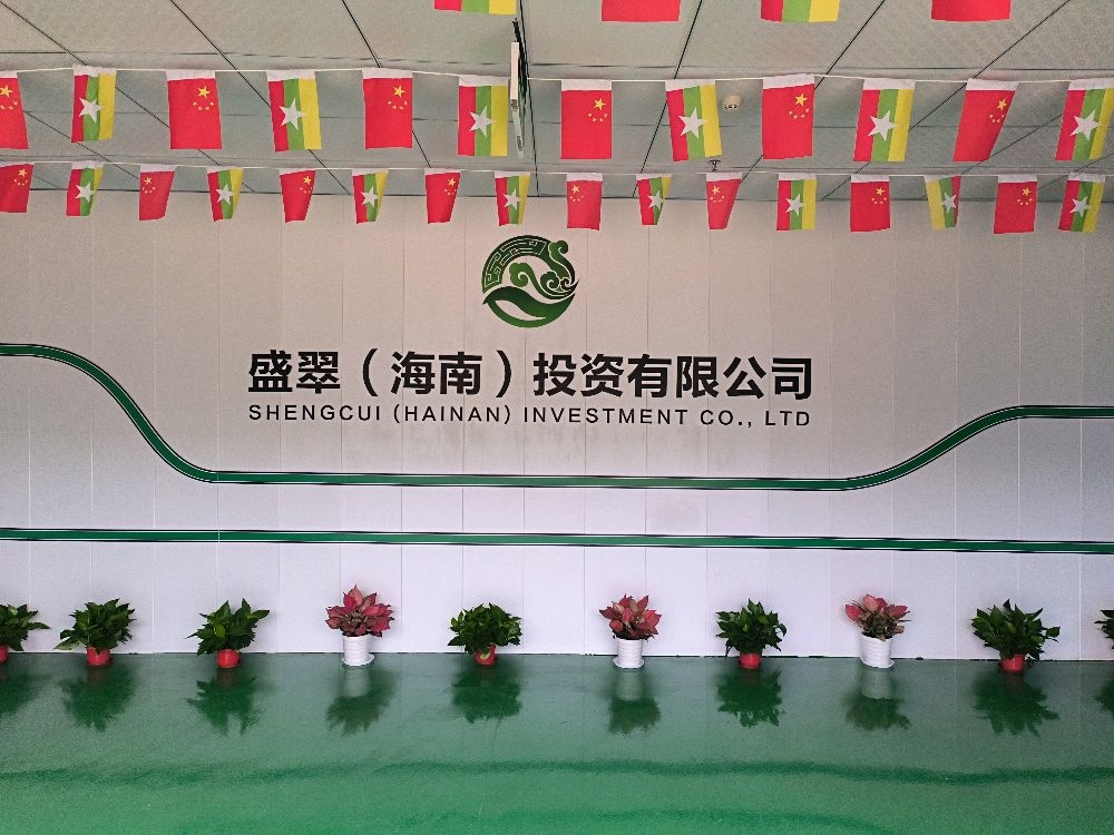 盛翠海南投资有限公司