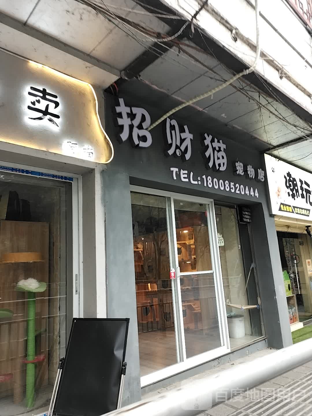 招财猫宠物店(洗马路店)