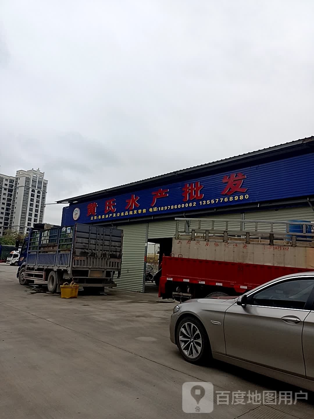 黄氏牛产批发