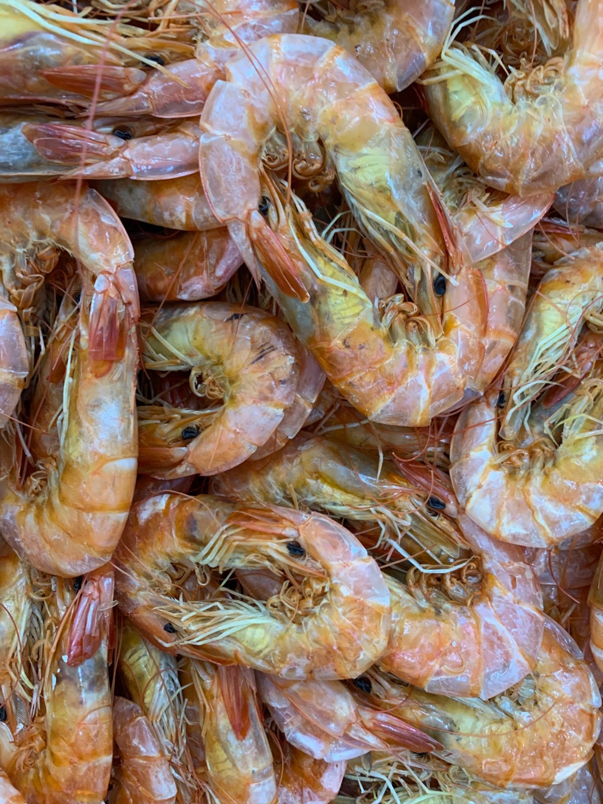 浩成水产品