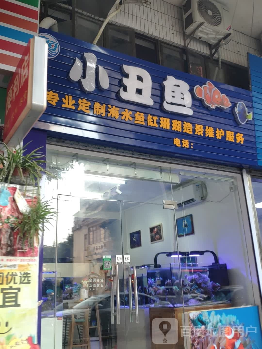 荣雄小丑鱼珊瑚店