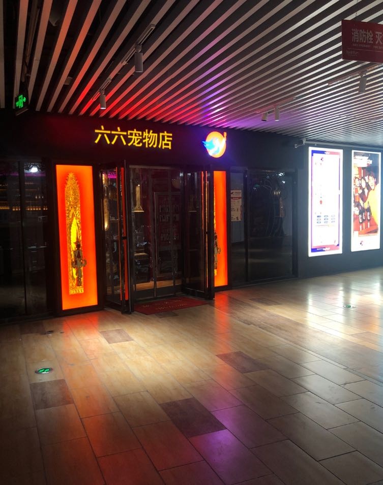 六六宠物店