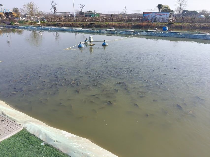 芜湖市垂钓练杆基地