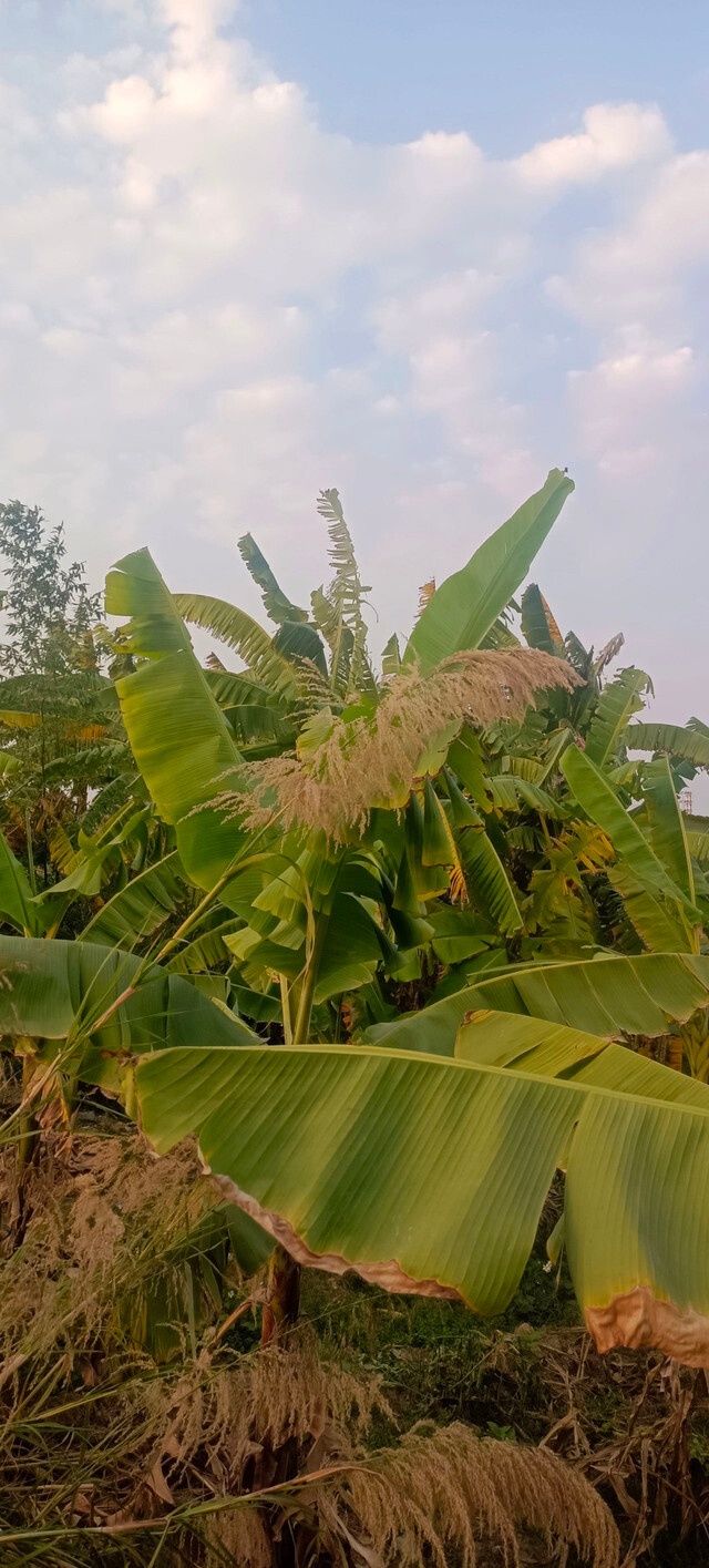 海口锦都精品酒店