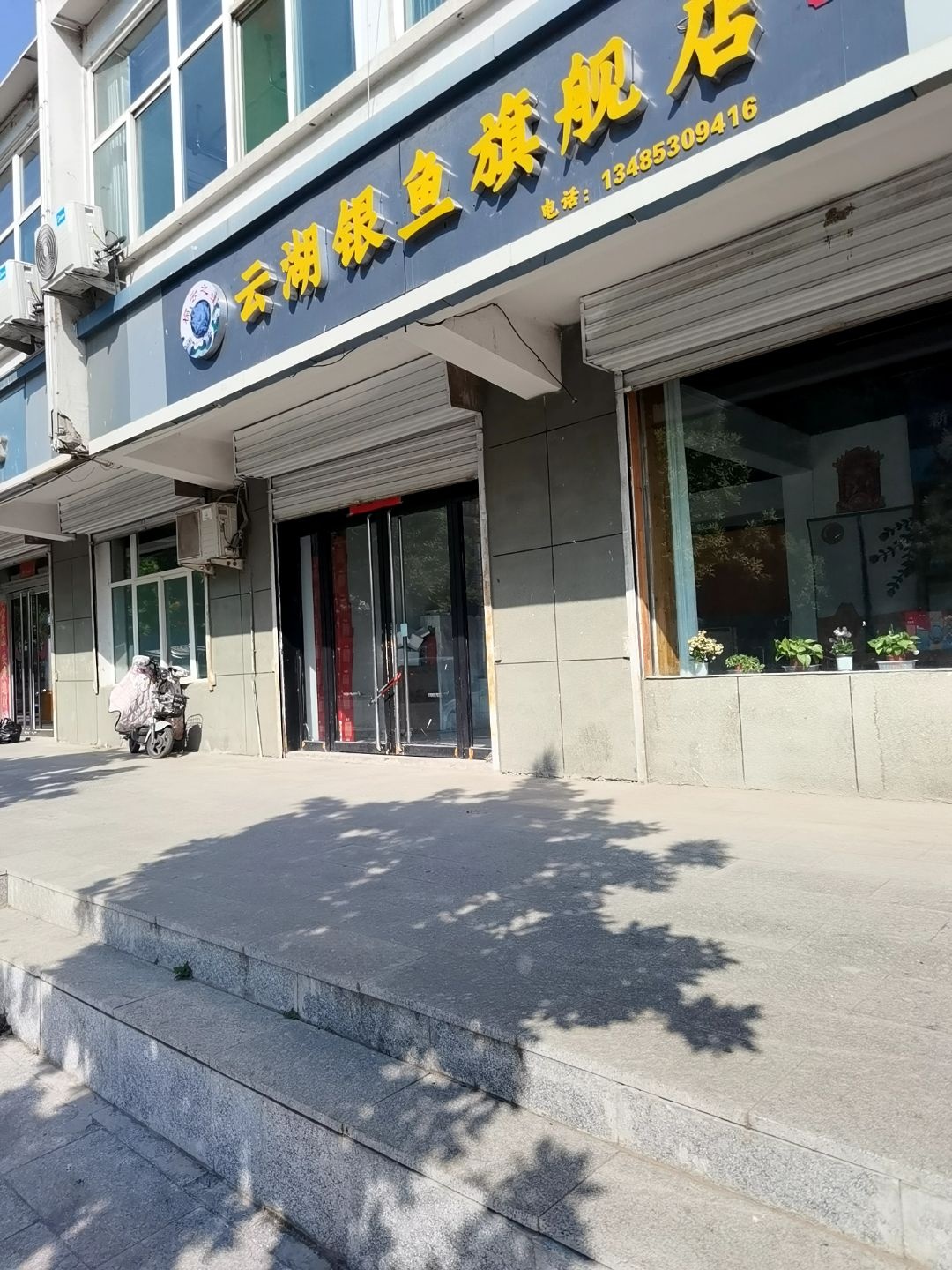 云湖银鱼旗舰店