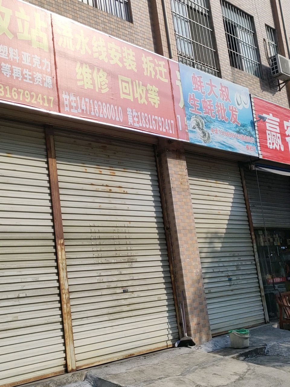 蚝大叔生蚝批发横栏店