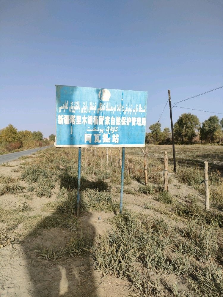 新疆塔里木胡杨国家自然保护管理局阿瓦提站