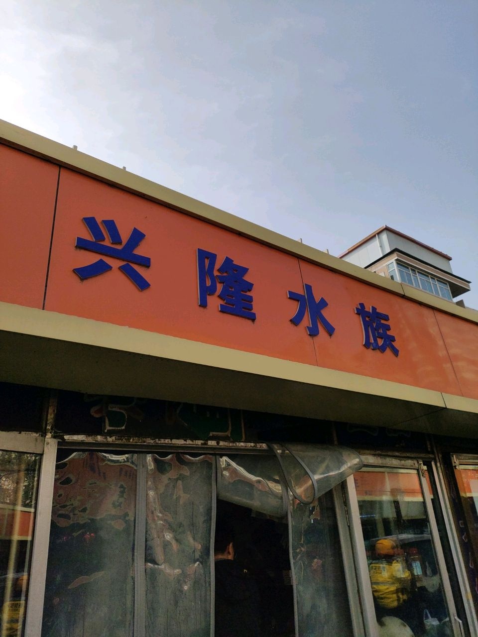 兴隆水族(亲贤花鸟鱼虫市场店)