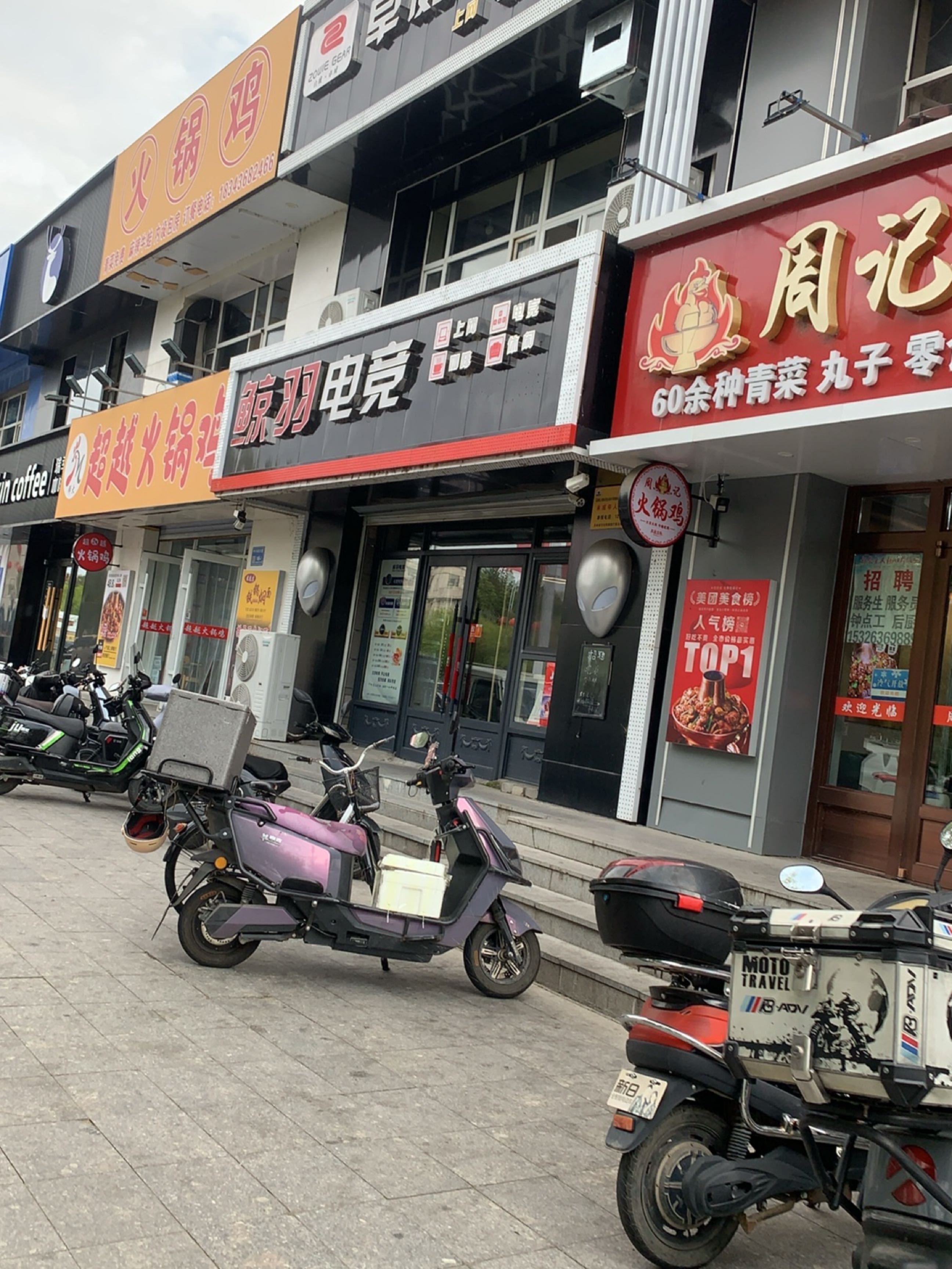 鲸羽电竞