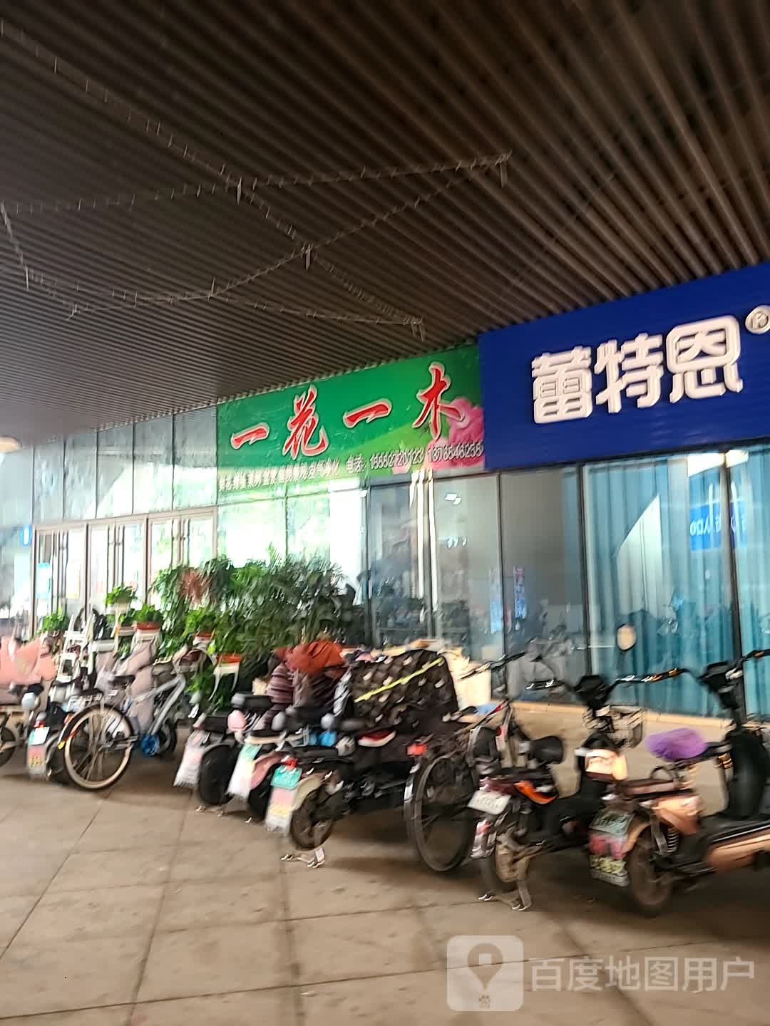 一花一木(银座商城东凯店大海银座广场店)