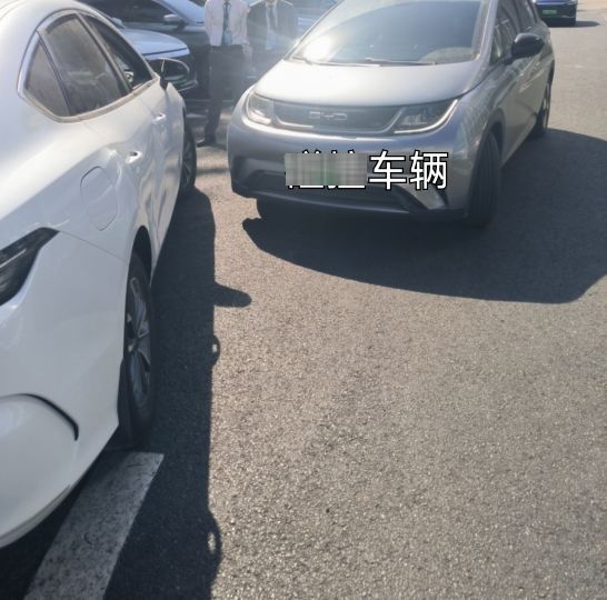 比亚迪(白沙大道分公司)