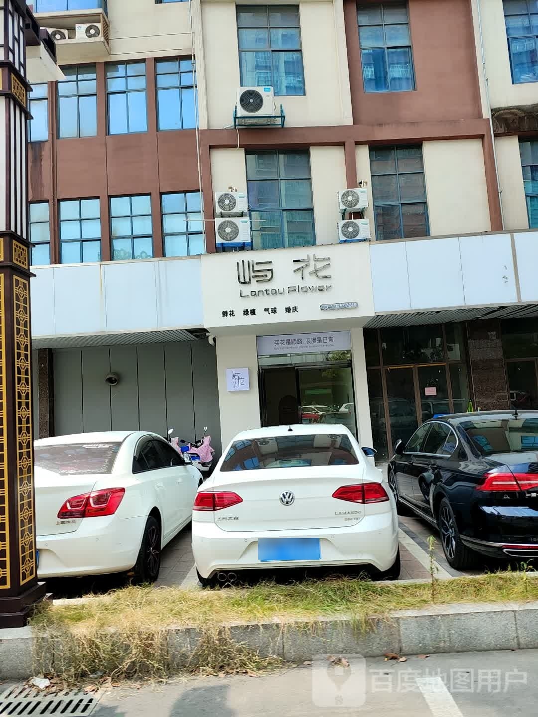 屿花新华绿植