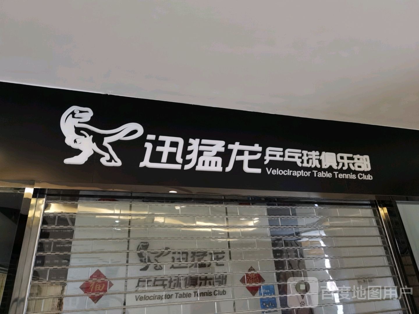 迅猛龙乒乓俱乐部(汇阳广场店)