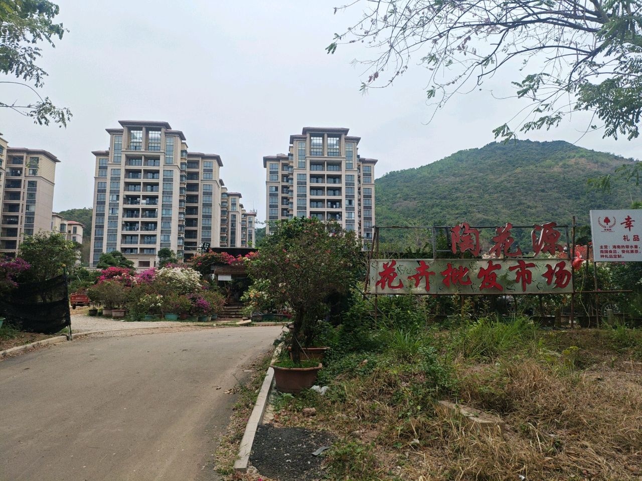 三亚迎宾路中段陶花源花卉批发